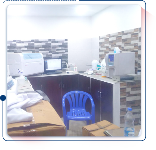 lab