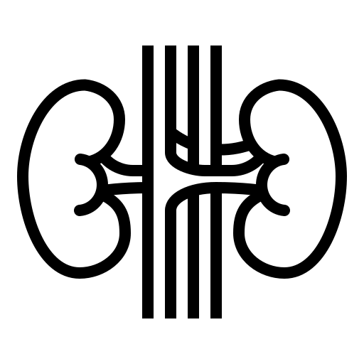 Nephrology icon
